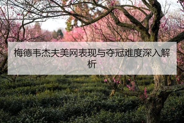 梅德韦杰夫美网表现与夺冠难度深入解析